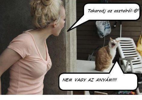 cicia_bekemenyit.jpg