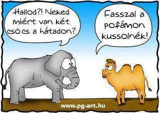 elefant_vs._teve.jpg