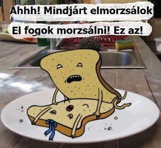 elmorzsalok.jpg