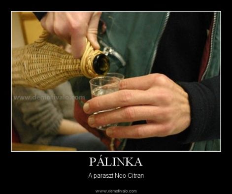 palinka.....jpg